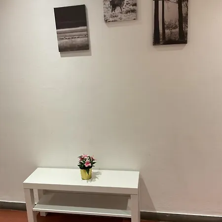 Oro A12 Apartment Florence